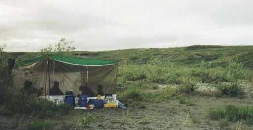 The Bug Tarp The Bug Tarp