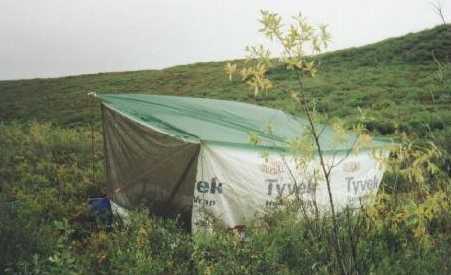 The Bug Tarp